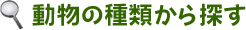 ưʪ�μ��फ��õ��