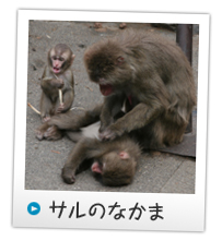 �ڥ󥮥�Τʤ���
