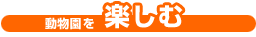 ưʪڤ